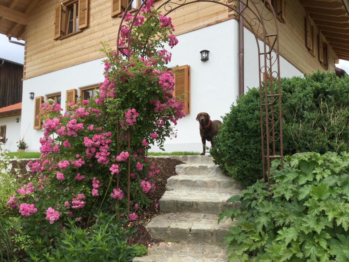 Ferienwohnung Am Dreiseithof Hauzenberg Exteriér fotografie